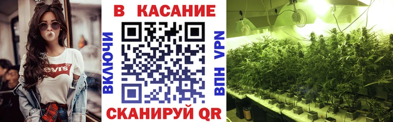 Купить наркотики сайты Избербаш Псилоцибиновые грибы МЕТАМФЕТАМИН КОКАИН МЕФ