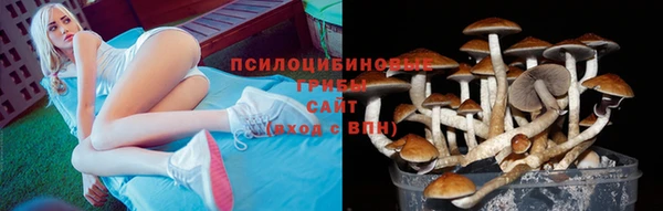 спайс Абинск