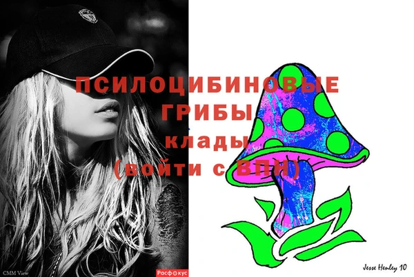 стаф Алексин