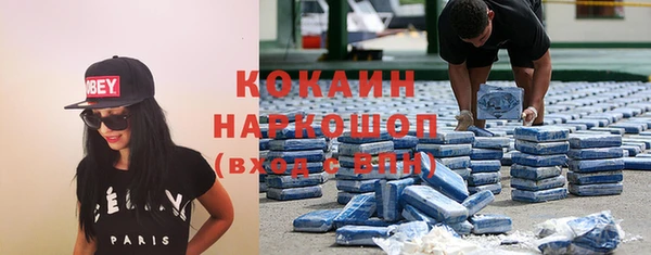 МДПВ Алзамай
