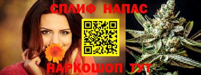 стаф Лесосибирск